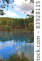 Take a walk in the blue pond (vertical shooting) 83928115
