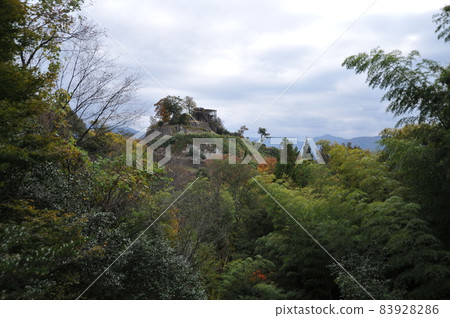 Naegi Castle Ruins ④ Naegi Castle Ruins ④ 83928286