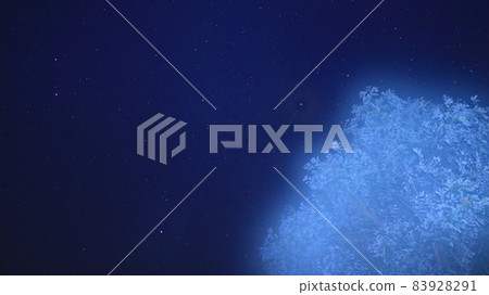 Looking at the starry sky Looking at the starry sky 83928291