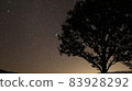 Looking up at the night sky through a tree 83928292