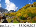 On the way to Karasawa at the peak of autumn colors 83929802