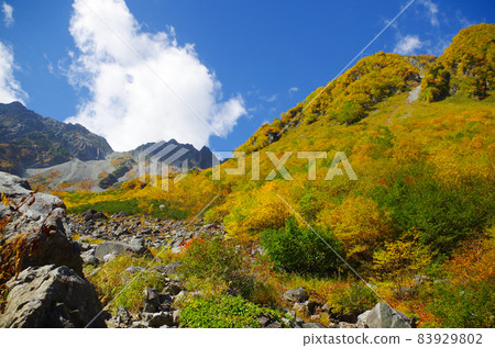 On the way to Karasawa at the peak of autumn colors On the way to Karasawa at the peak of autumn colors 83929802
