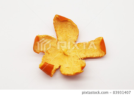橘子皮 橘子皮 83931407