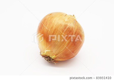 onion onion 83931410