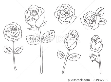Hand-drawn illustration set of roses (monochrome) Hand-drawn illustration set of roses (monochrome) 83932299