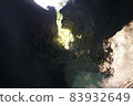 Redwood National and State Park landscape 83932649