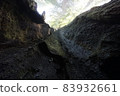 Redwood National and State Park landscape 83932661