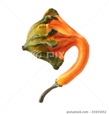 Small and crooked decorative pumpkin Small and crooked decorative pumpkin 83933052
