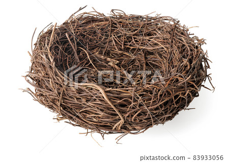 Empty birds nest Empty birds nest 83933056