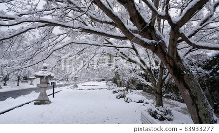 冬天下雪天吉馬場 83933277