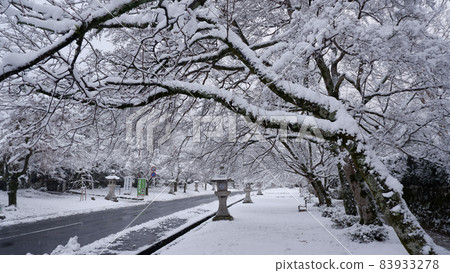 Winter snowy day Yoshibaba 83933278