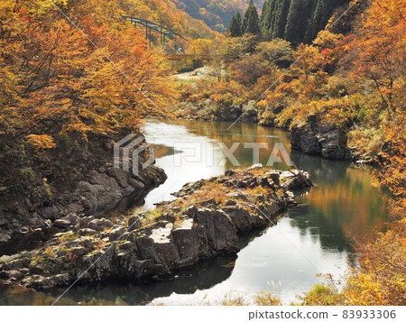 The autumnal leaves of Shishi Gorge The autumnal leaves of Shishi Gorge 83933306