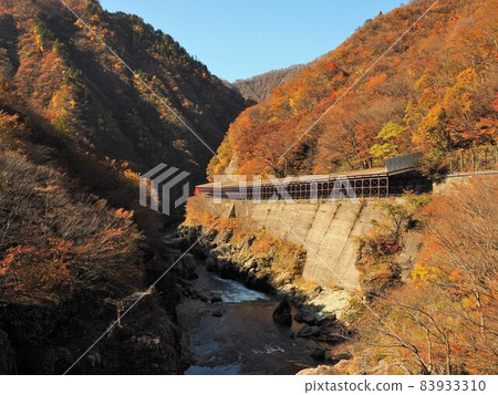 石獅峽谷的秋葉 石獅峽谷的秋葉 83933310
