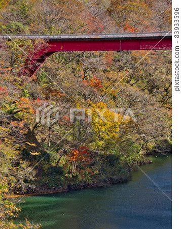 Murakami City Asahi Super Line Engobashi Autumn Leaves Murakami City Asahi Super Line Engobashi Autumn Leaves 83933596