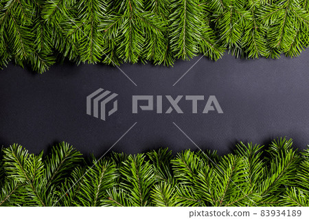 Black background with green fir tree 83934189