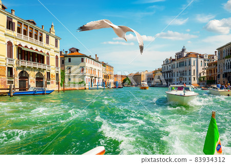 Warm day in Venice Warm day in Venice 83934312
