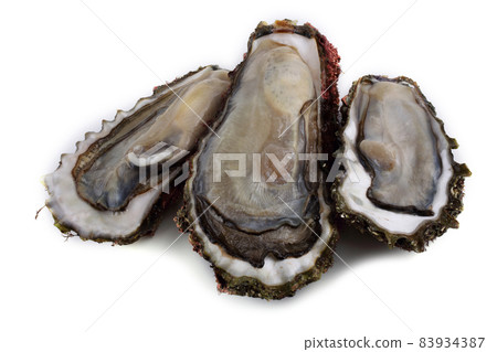 Opened oysters isolated on white 83934387