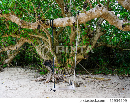 Taketomi Island Kaiji Beach Handmade swings hung from Hernandiaceae on the beach (Taketomi Town, Yaeyama District, Okinawa Prefecture) 83934399