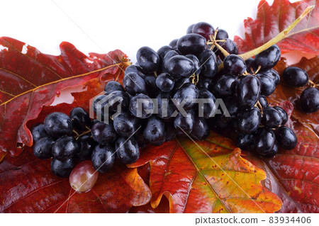 Grape on autumn leaves 83934406