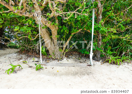 Taketomi Island Kaiji Beach Handmade swings hung from Hernandiaceae on the beach (Taketomi Town, Yaeyama District, Okinawa Prefecture) 83934407
