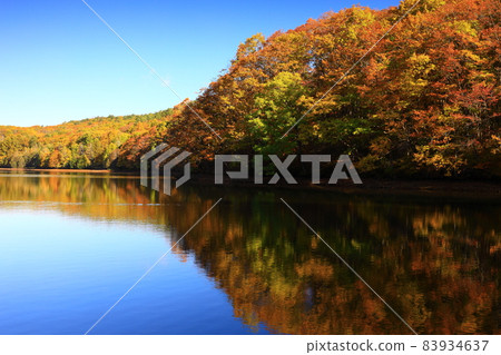 Lake Gando in autumn colors, Morioka City, Iwate Prefecture 83934637