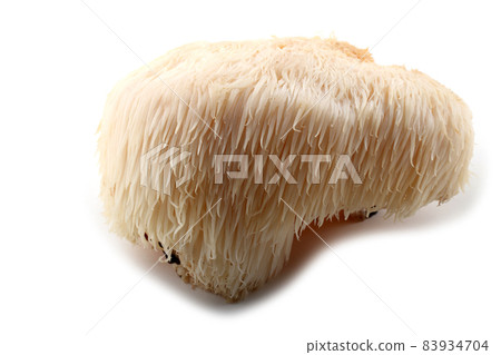 Hericium erinaceus mushroom (monkey head mushroom, bearded tooth fungus, bearded hedgehog mushroom, pom pom, lion's mane mushroom) Hericium erinaceus mushroom (monkey head mushroom, bearded tooth fungus, bearded hedgehog mushroom, pom pom, lion's mane mushroom) 83934704