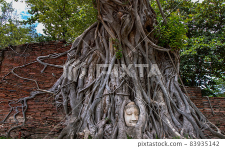 Ancient buddha head embedded in a Banyan tree unseen at Wat mahathat. Ancient buddha head embedded in a Banyan tree unseen at Wat mahathat. 83935142