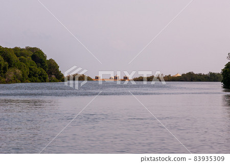Mangroves de Godoria with straw shelters in Djibouti 83935309