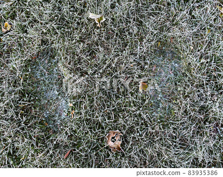 有腳印的霜草 有腳印的霜草 83935386