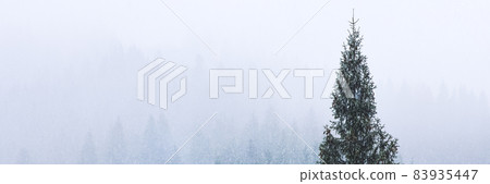 Winter Christmas Scene, View of the Snowy Pine Forest in the Mountains Winter Christmas Scene, View of the Snowy Pine Forest in the Mountains 83935447