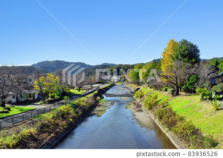 東京八王子市多摩皇陵淺川 東京八王子市多摩皇陵淺川 83936526