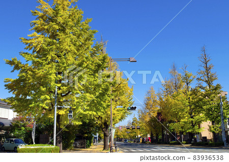 東京都八王子市甲州街道多摩五棱十字路口 東京都八王子市甲州街道多摩五棱十字路口 83936538