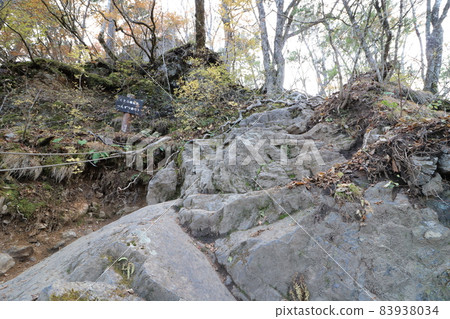 Climbing Mt. Ryokami in Chichibu, Saitama Prefecture in November 2021 Climbing Mt. Ryokami in Chichibu, Saitama Prefecture in November 2021 83938034