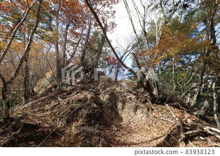 2021 年 11 月攀登埼玉縣秩父的龍神山 v 2021 年 11 月攀登埼玉縣秩父的龍神山 v 83938123