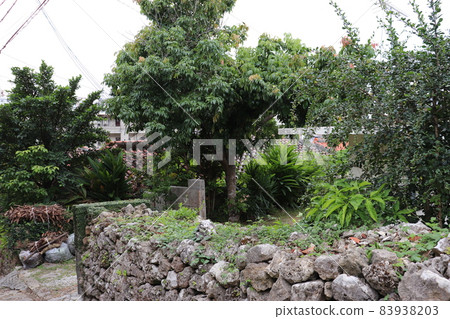 Scenery seen from the cobblestone road of Okinawa trip, Shuri, Kinjo-cho 83938203