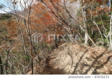 2021年11月從埼玉縣秩父兩神山日向大谷登山口登山 83938235