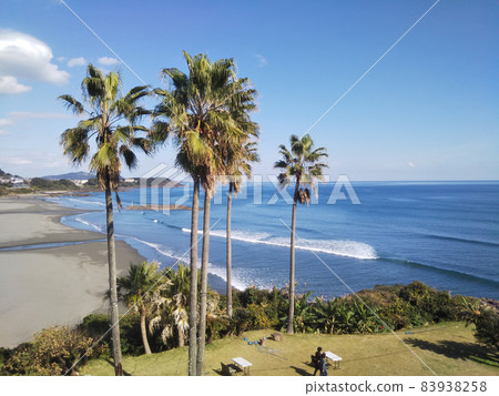 Pacific Ocean in Hyuga City, Indian summer 83938258