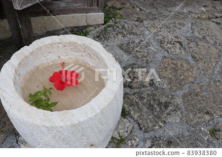 A hibiscus floating on the surface of the water at the storefront of the cobblestone road in Shuri, Kinjo-cho, Okinawa travel 83938380