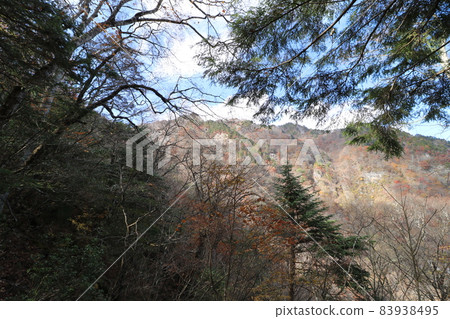 Climbing from the Hinata Otani trailhead of Mt. Ryokami in Chichibu, Saitama Prefecture in November 2021 83938495