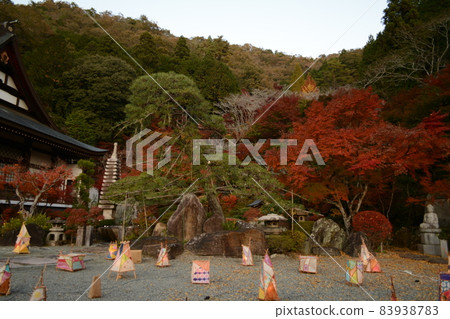 Maple Festival_Kiyorinji Temple 83938783