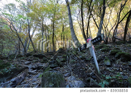 Climbing from the Hinata Otani trailhead of Mt. Ryokami in Chichibu, Saitama Prefecture in November 2021 83938858