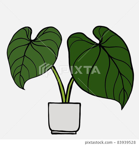 Simplicity philodendron gloriosum houseplant simplicity freehand drawing flat design. Simplicity philodendron gloriosum houseplant simplicity freehand drawing flat design. 83939528