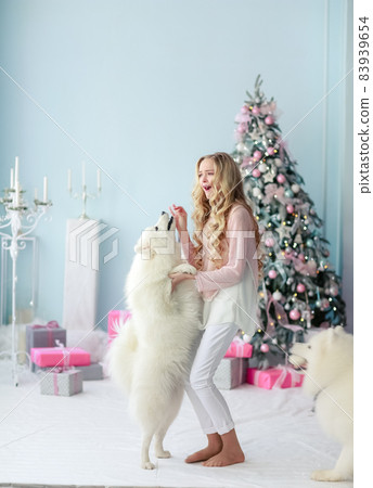 New Year's Eve, a girl trains her white fluffy pet 83939654