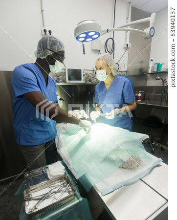 Surgery for a dog in a veterinary clinic Surgery for a dog in a veterinary clinic 83940137