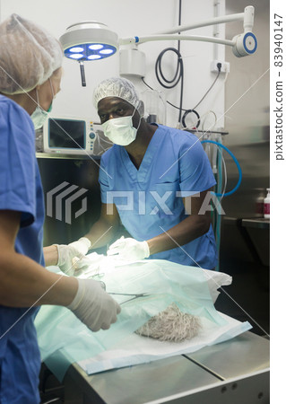 Surgery for a dog in a veterinary clinic Surgery for a dog in a veterinary clinic 83940147