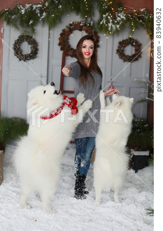 A young girl with a dog near the Christmas tree A young girl with a dog near the Christmas tree 83940632