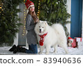 A young girl with a dog near the Christmas tree 83940636