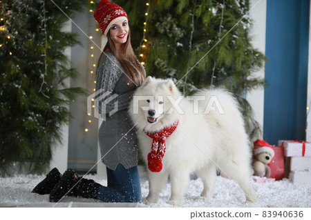 A young girl with a dog near the Christmas tree A young girl with a dog near the Christmas tree 83940636