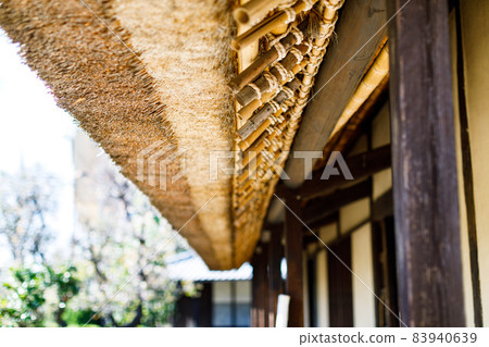 重要文化財、舊高橋家宅邸、茅草屋頂 重要文化財、舊高橋家宅邸、茅草屋頂 83940639