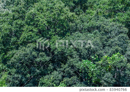 埼玉縣木葉/北本市一側 83940766